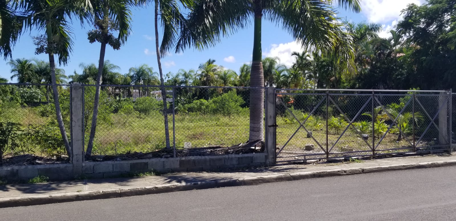 Exclusive Lot in Downtown Sosua for Sale - photo 3