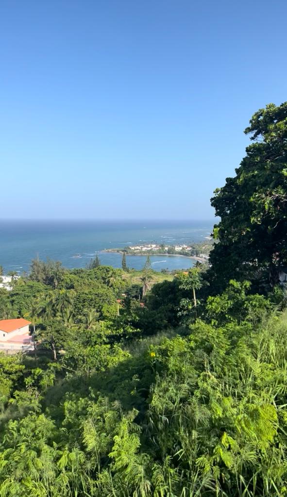 Unique Hilltop Lot with Breathtaking Views Near the Beach in Puerto Plata for Sale - photo 4