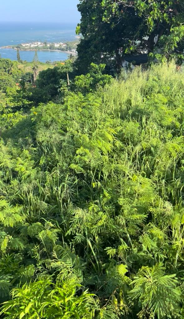 Unique Hilltop Lot with Breathtaking Views Near the Beach in Puerto Plata for Sale - photo 2