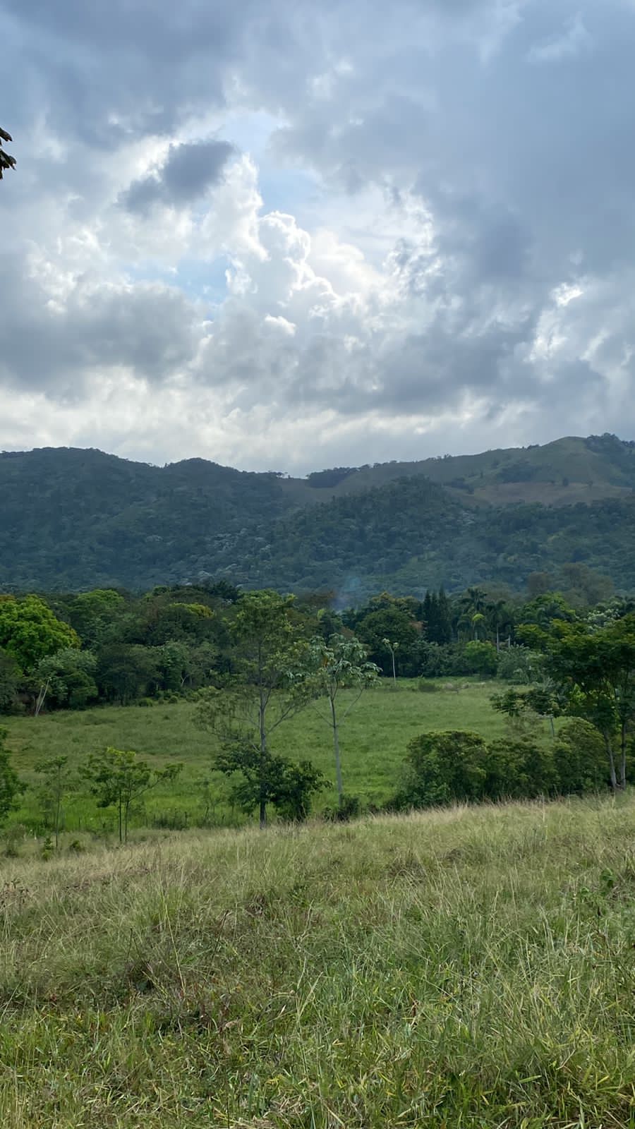 . RESIDENTIAL LOT IN BONAO MOUNTAINS FOR SALE - photo 3
