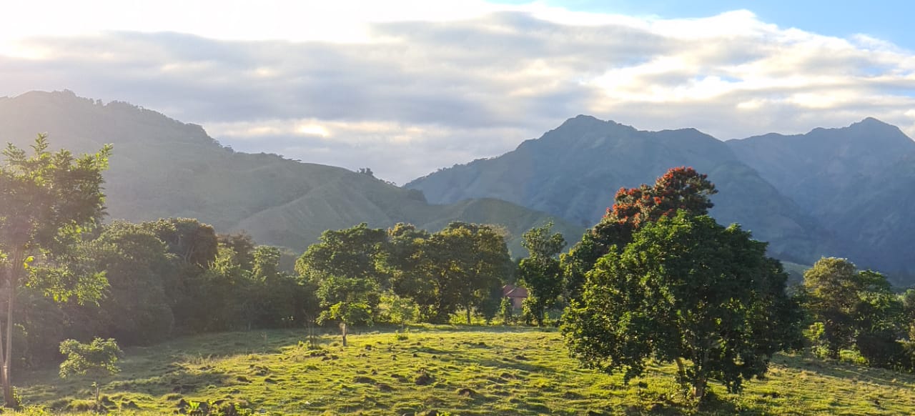 . 1 HECTARE LAND IN BONAO FOR SALE - photo 1