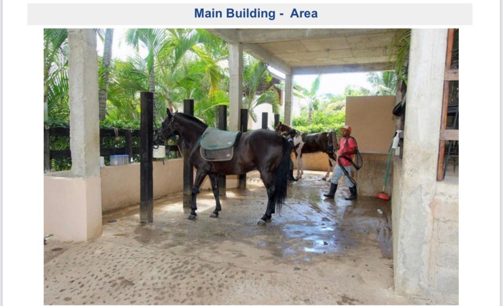 For Sale Paradise Horse Ranch in the Heart of the Dominican Republic