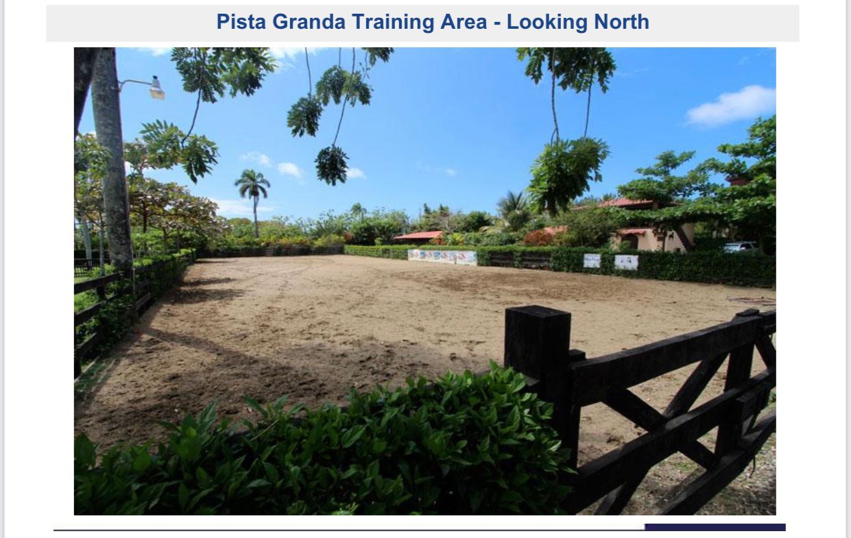 Paradise Horse Ranch in the Heart of the Dominican Republic - photo 6