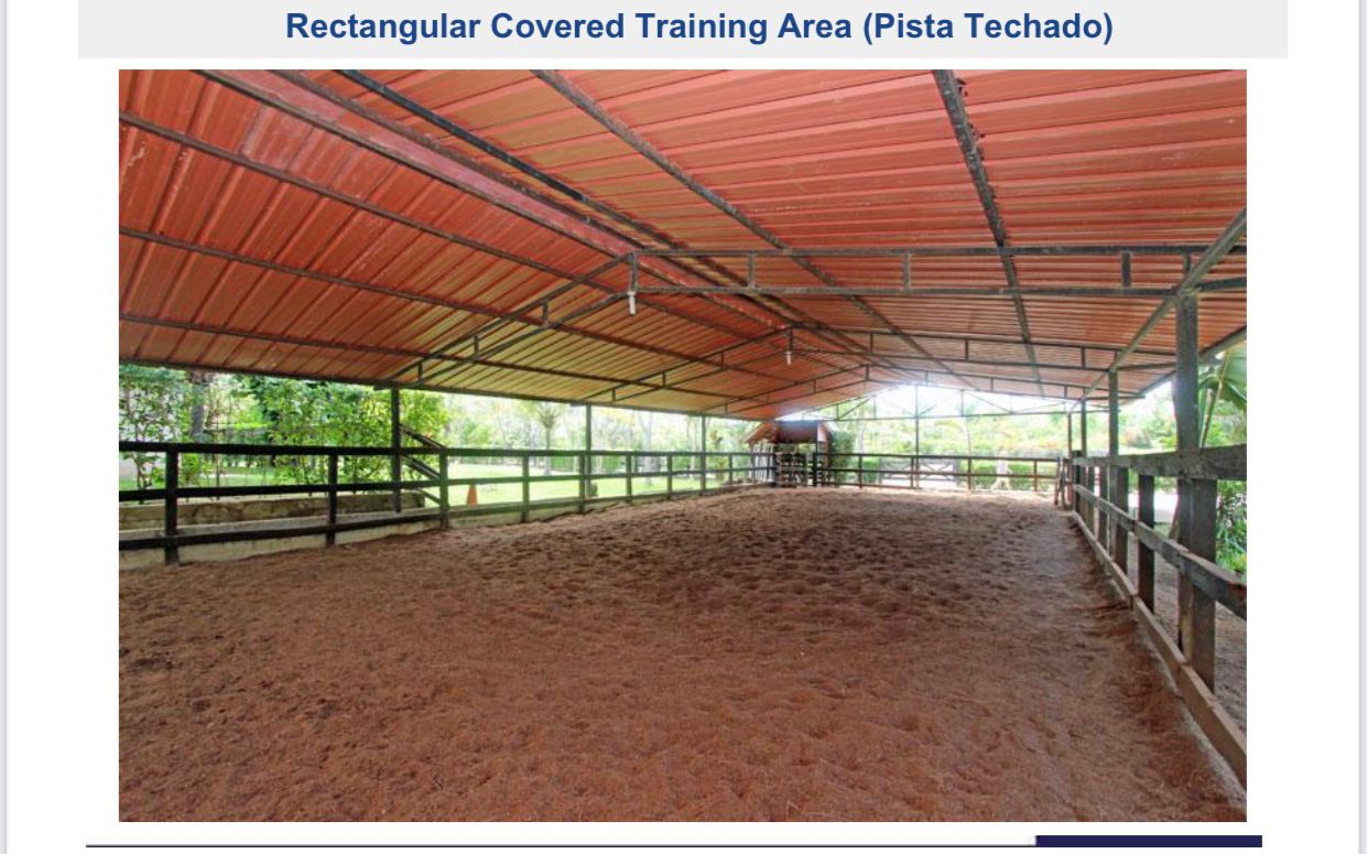 Paradise Horse Ranch in the Heart of the Dominican Republic - photo 3