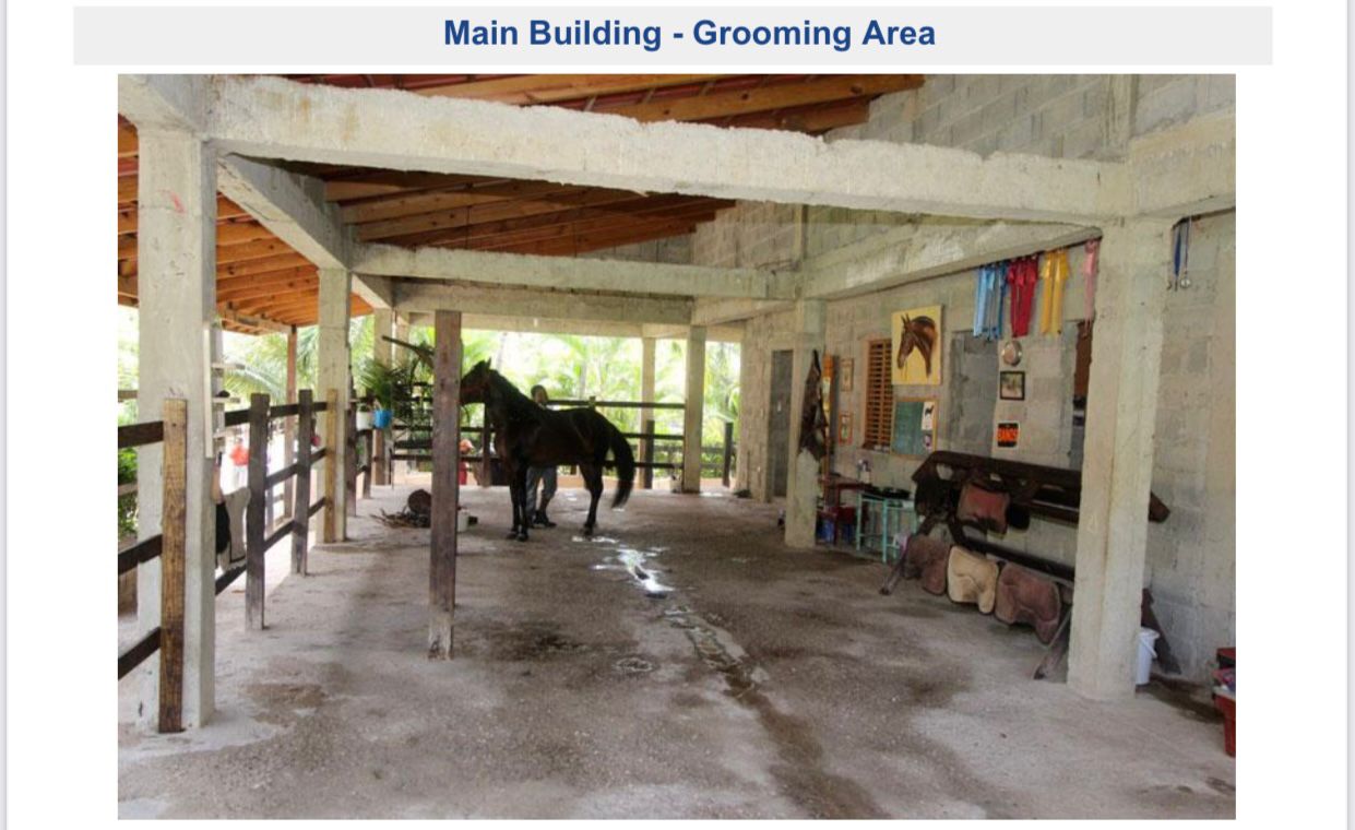 Paradise Horse Ranch in the Heart of the Dominican Republic - photo 4