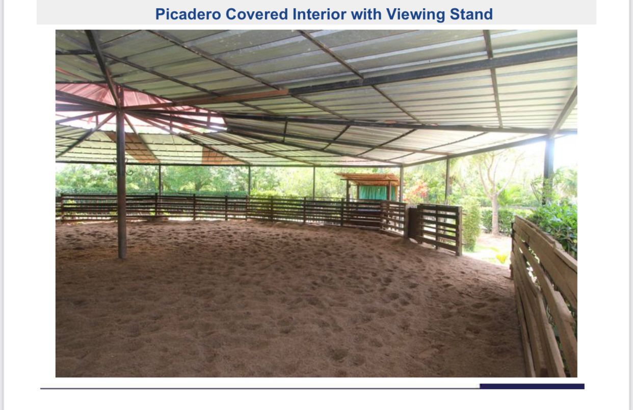 Paradise Horse Ranch in the Heart of the Dominican Republic - photo 5