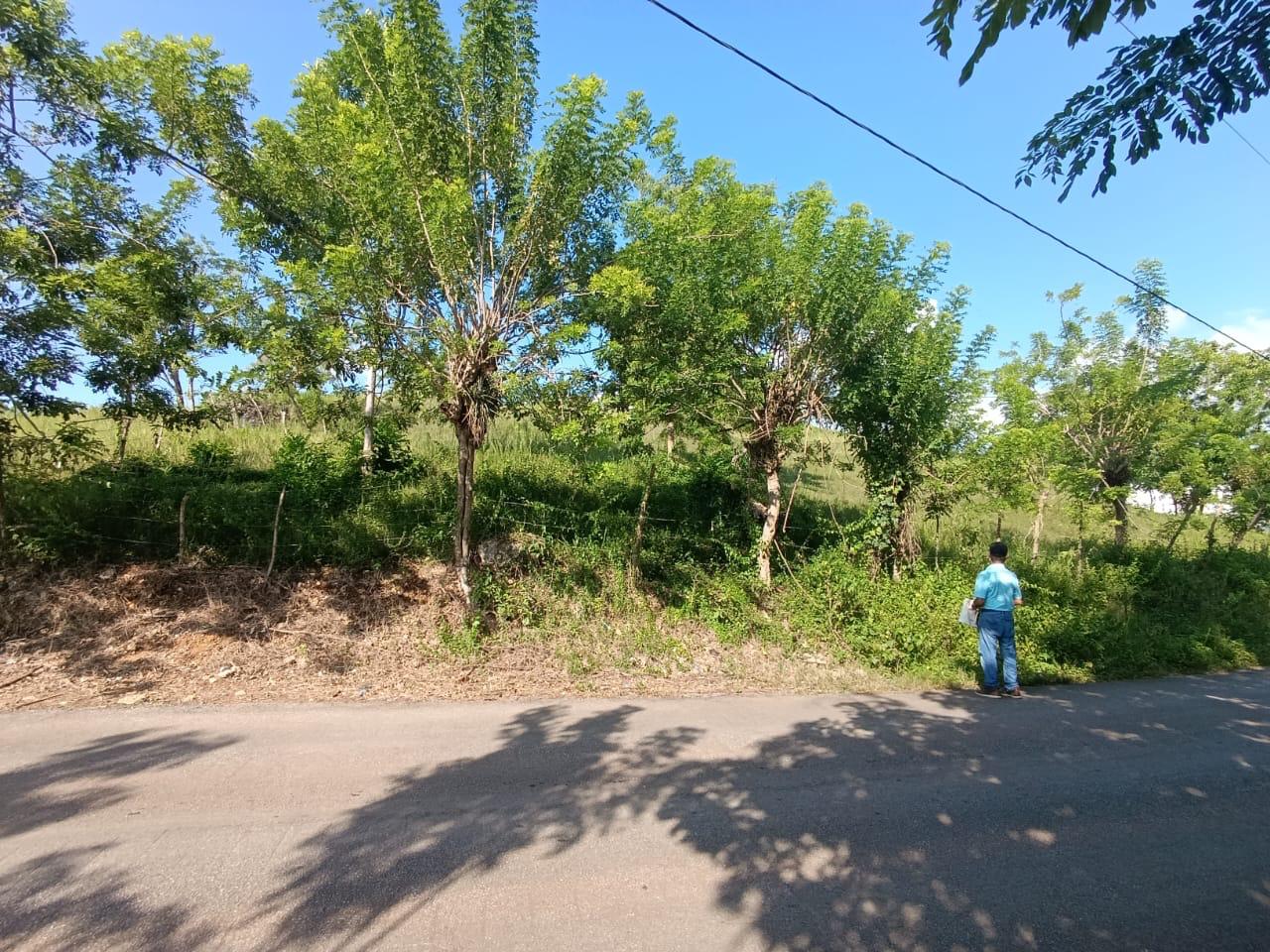 Build your Dream Villa here! Ocean view Land In Rio San Juan for residential development - photo 2