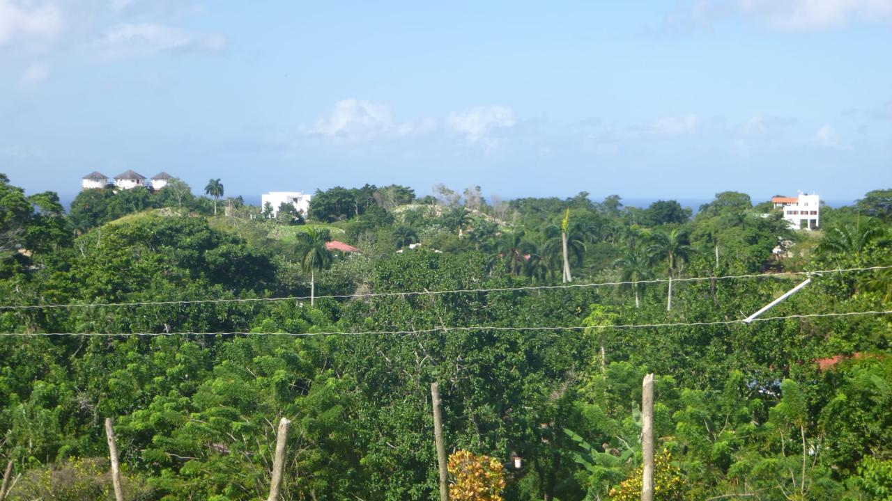 Build your Dream Villa here! Ocean view Land In Rio San Juan for residential development - photo 5