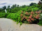 150297-55c5b504_9d1f_4a27_b866_c8dab60f193f