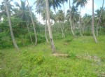 68436-821_landforsaledominicanrepubliclascanasoceanfront2
