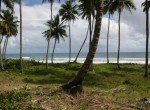 68436-821_landforsaledominicanrepubliclascanasoceanfront8