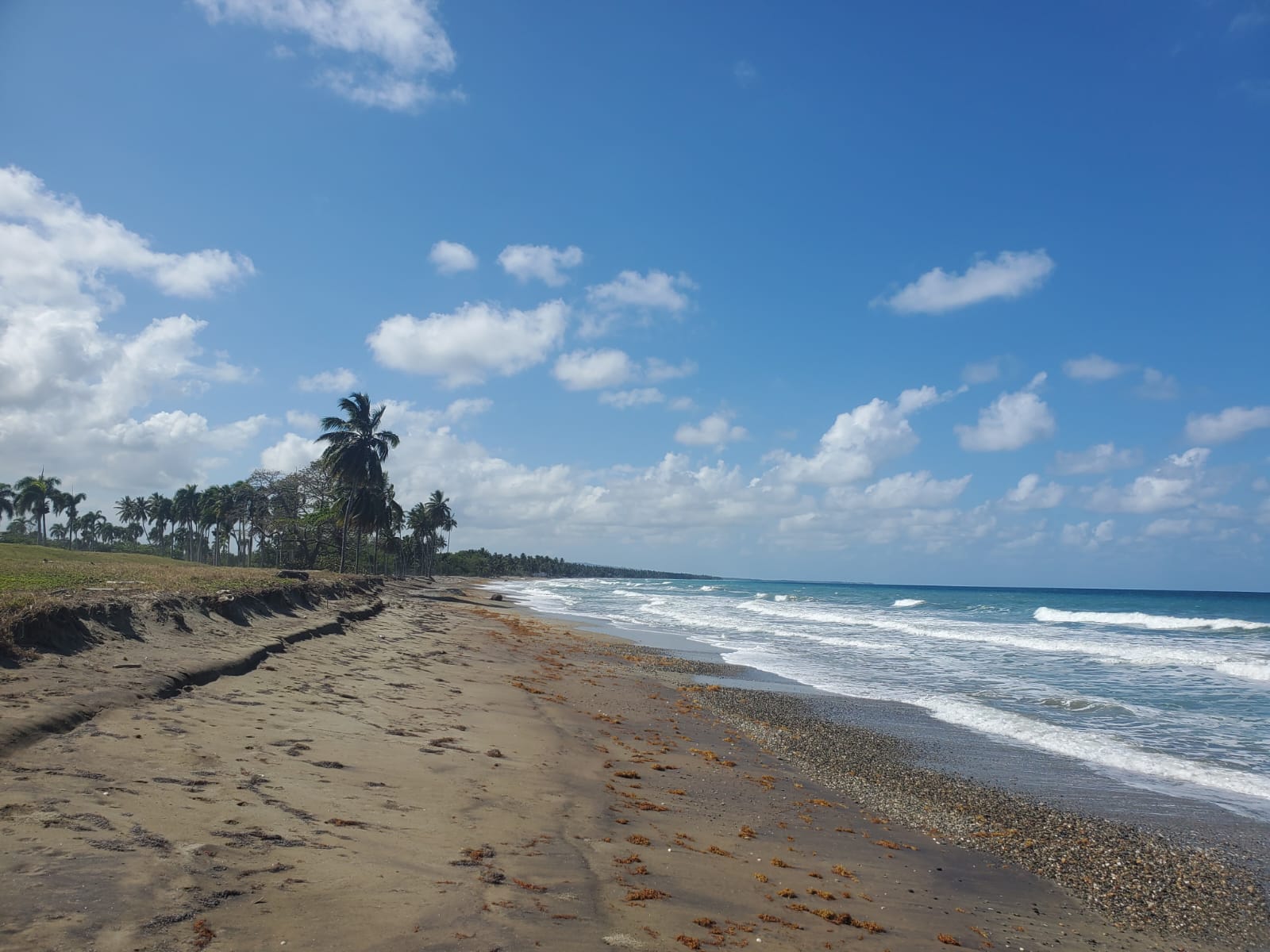 Beachfront land in Las Canas - photo 1