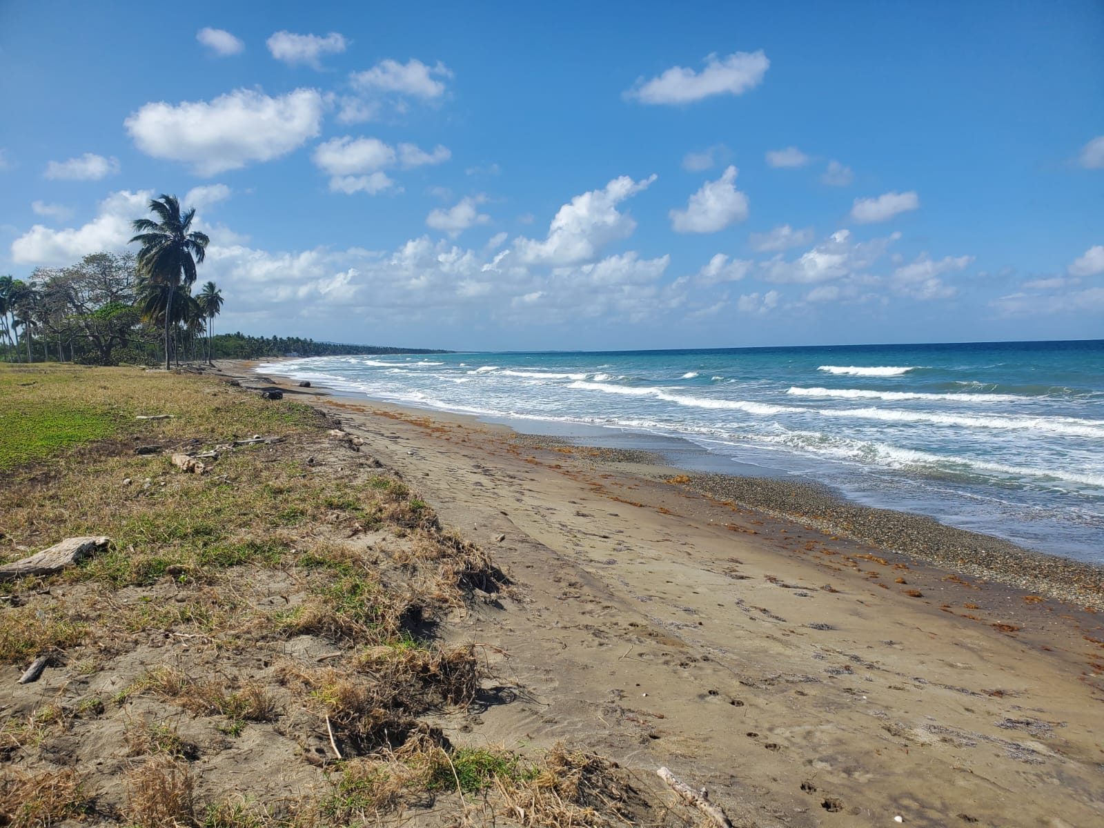 Beachfront land in Las Canas - photo 5