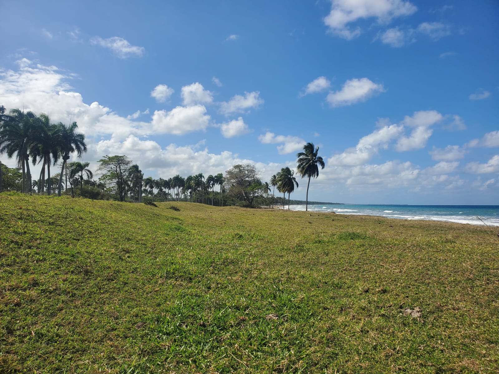 Beachfront land in Las Canas - photo 4