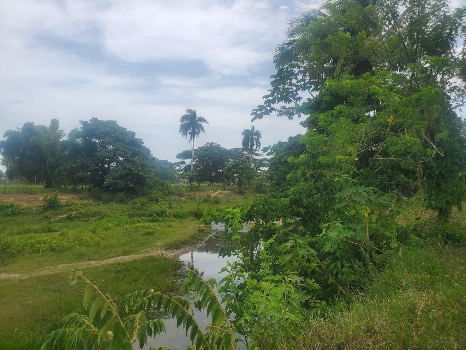 Riverside lots in Veragua! - photo 2