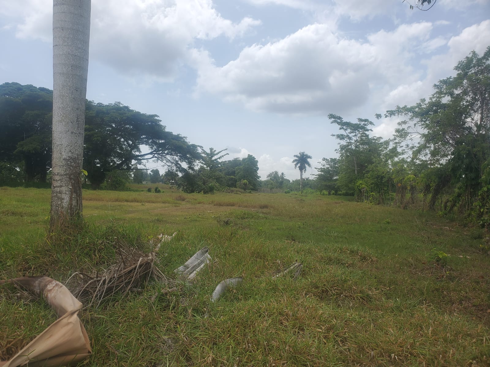 Riverside lots in Veragua! - photo 3