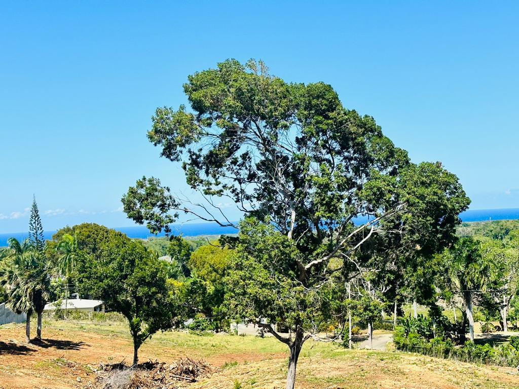 ‘ Ocean View Lots – Near Sosua - photo 4