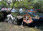 137527-image3