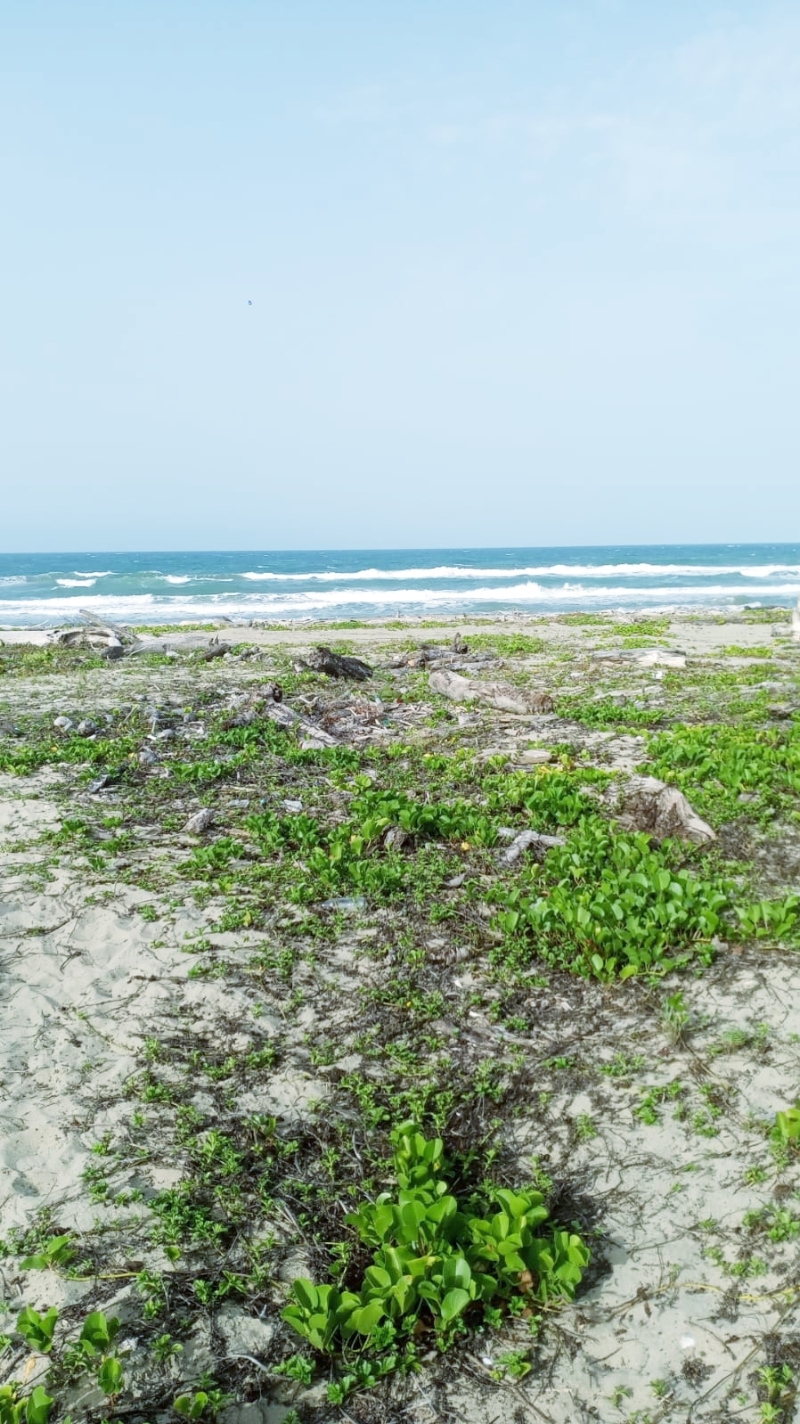First line! new price! Beachfront land in Las Canas For Sale - photo 5