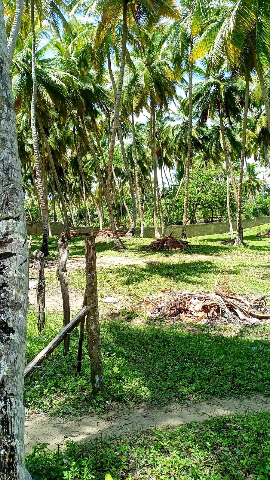 First line! new price! Beachfront land in Las Canas For Sale - photo 2