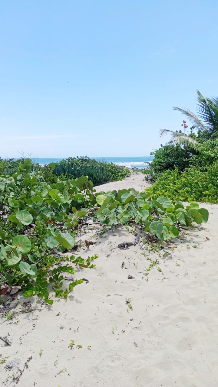First line! new price! Beachfront land in Las Canas For Sale - photo 4