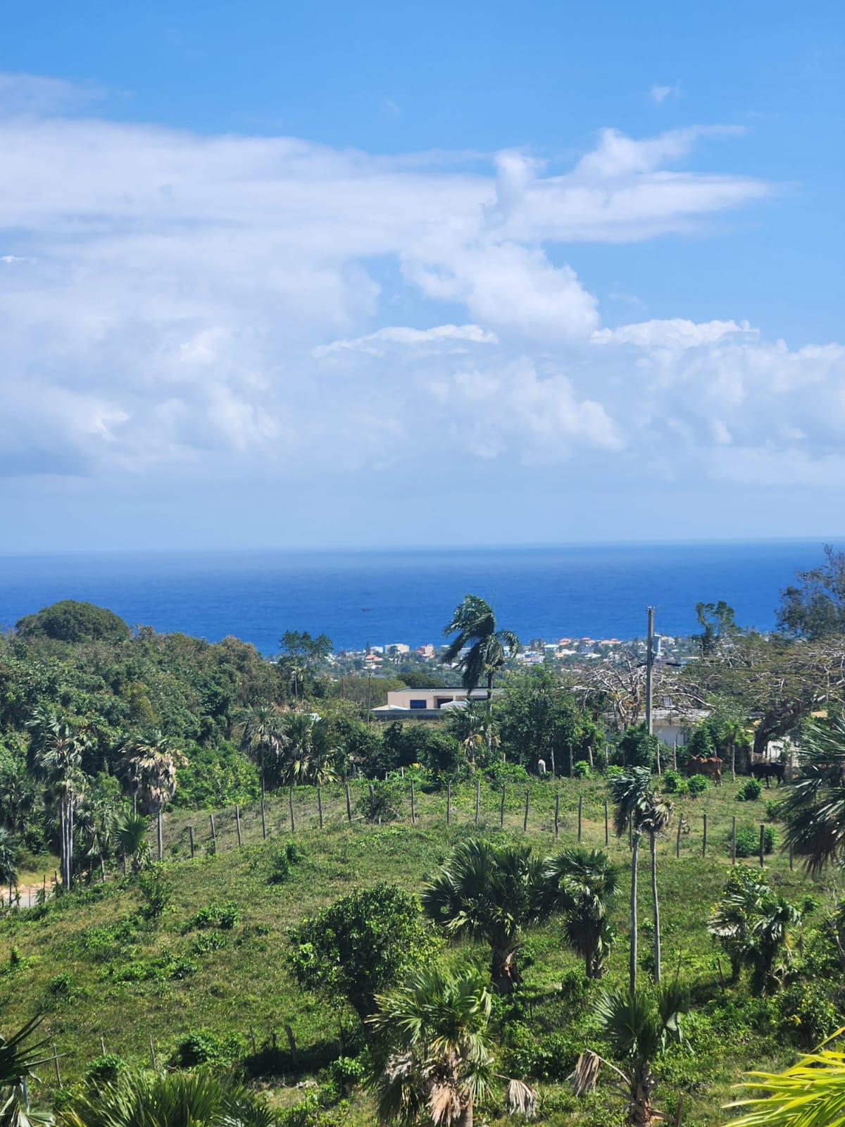 Residential Lot For Sale! OCEANVIEW LAND IN CABRERA GATED COMMUNITY FOR SALE - photo 2
