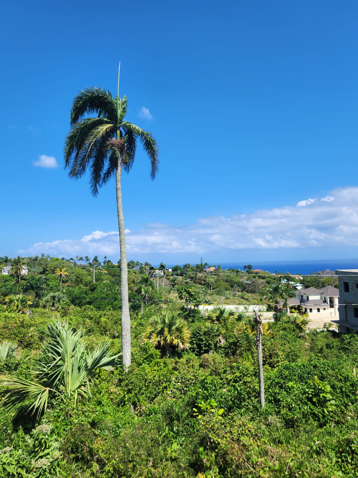 Residential Lot For Sale! OCEANVIEW LAND IN CABRERA GATED COMMUNITY FOR SALE - photo 6
