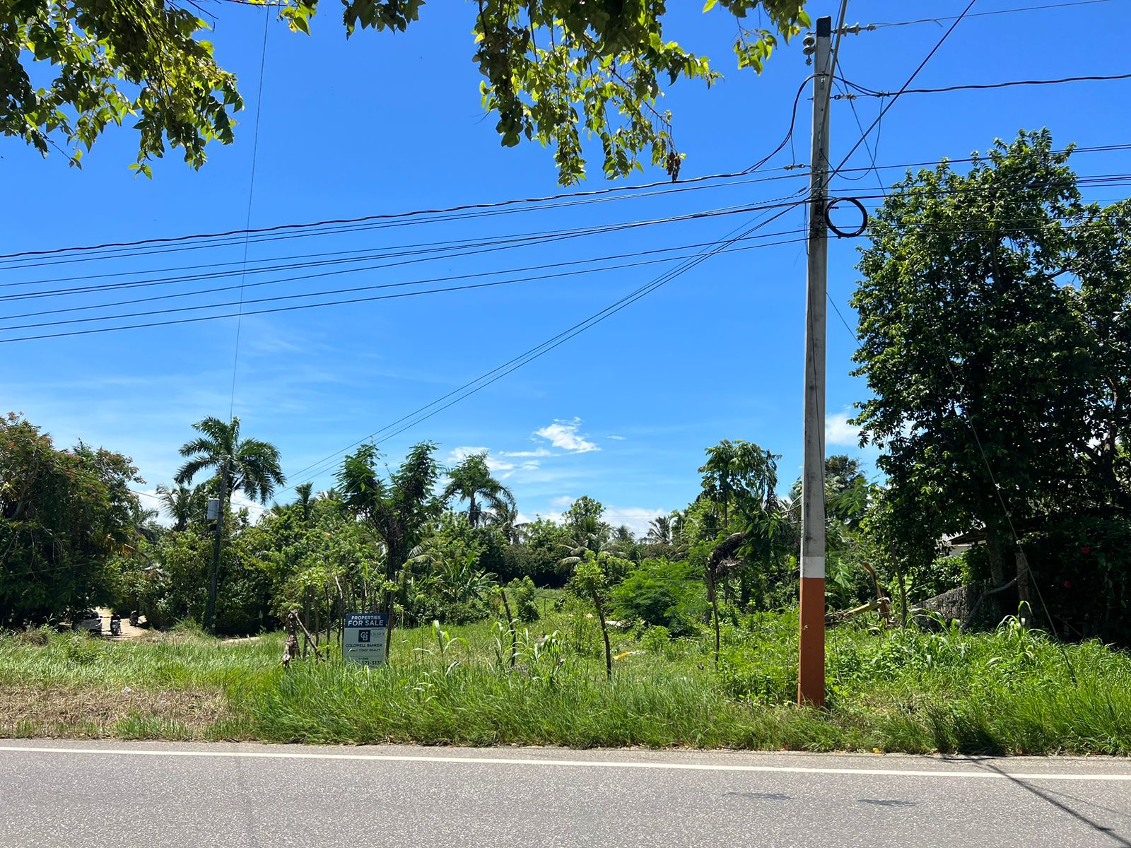 COMMERCIAL LOT ON MAIN ROAD Encuentro commercial lot FOR SALE on main street Cabarete - photo 5
