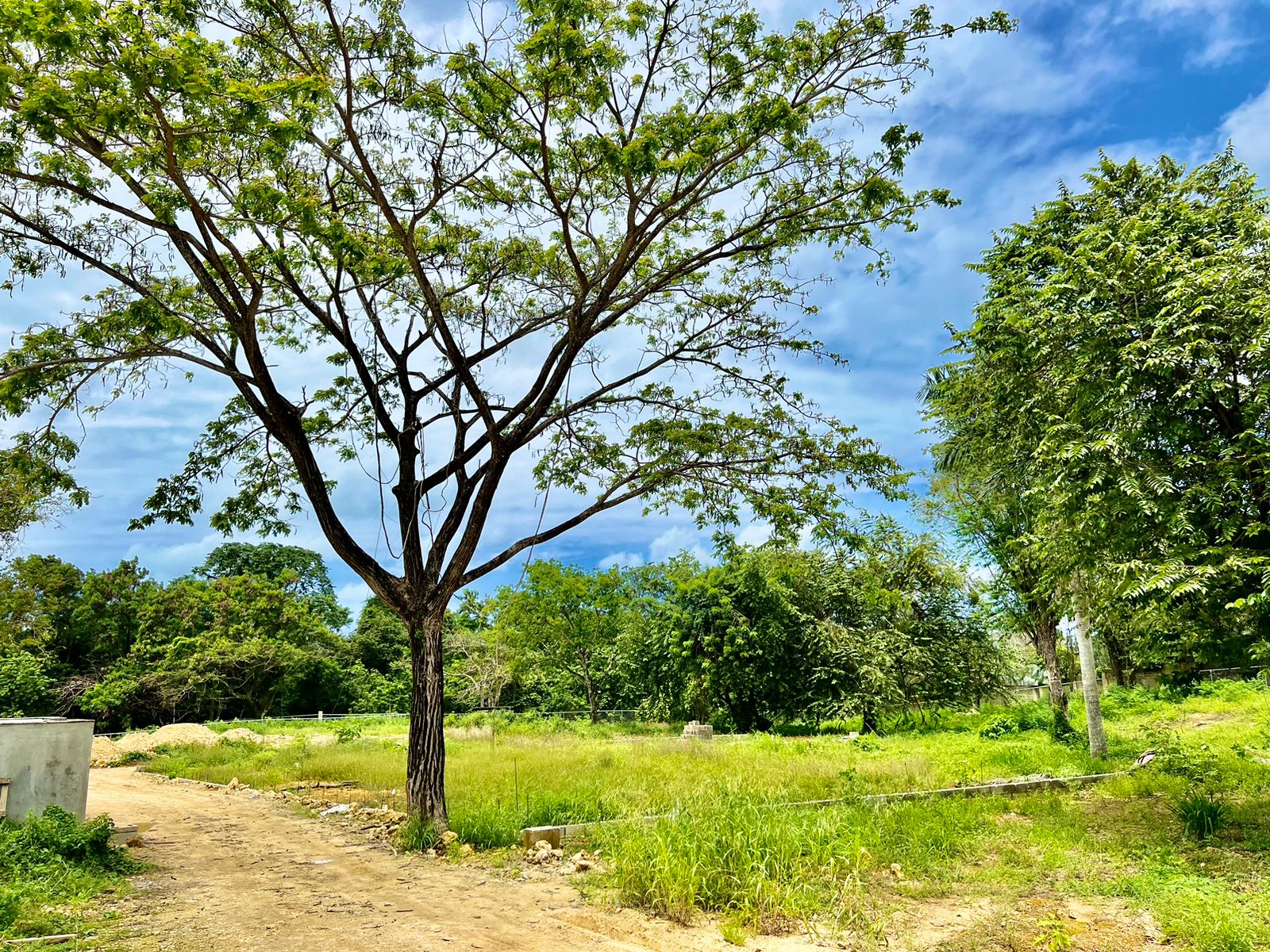 opportunity Price! Exclusive Lot in gated community ready to build - photo 4