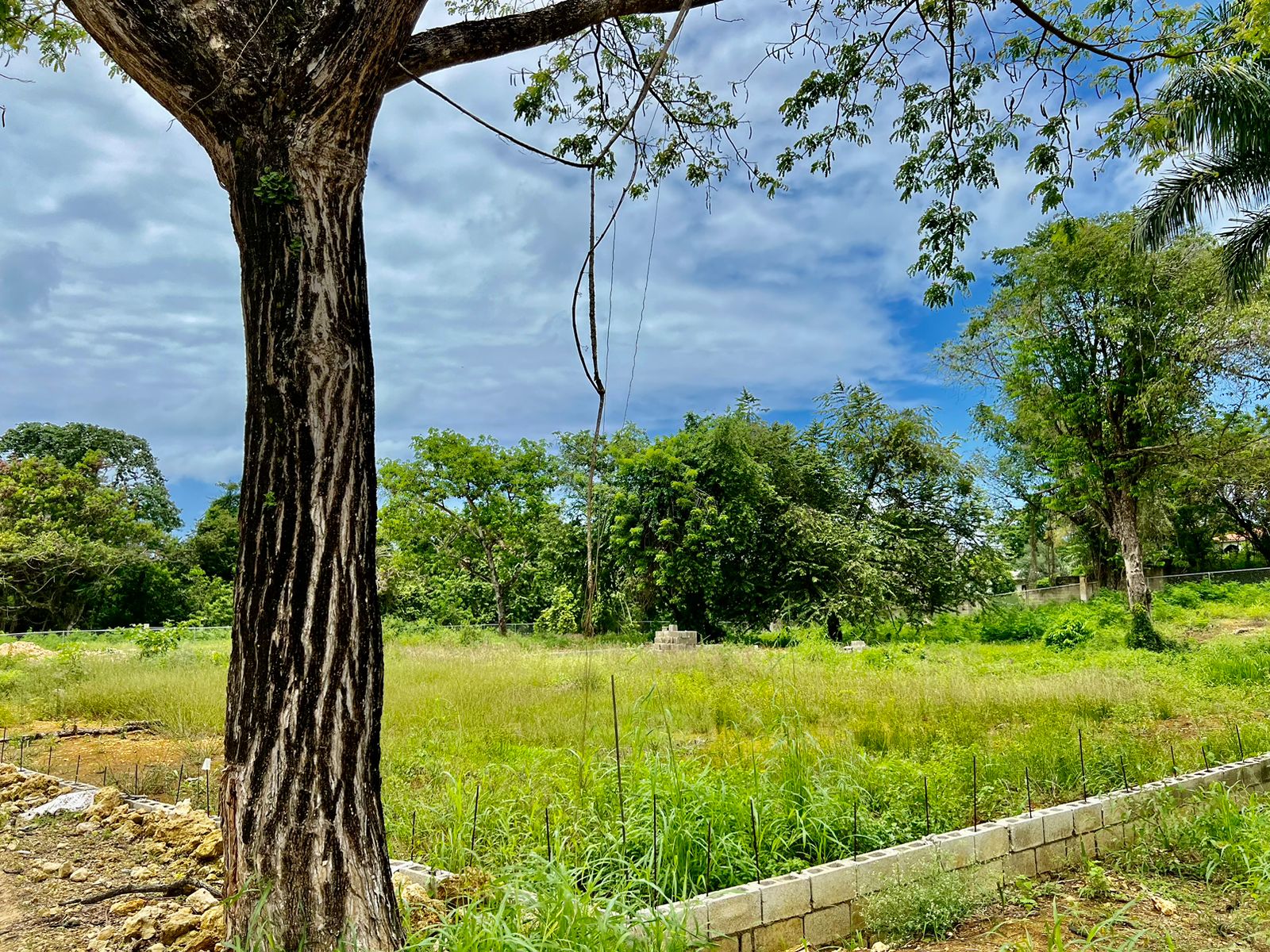 opportunity Price! Exclusive Lot in gated community ready to build - photo 3