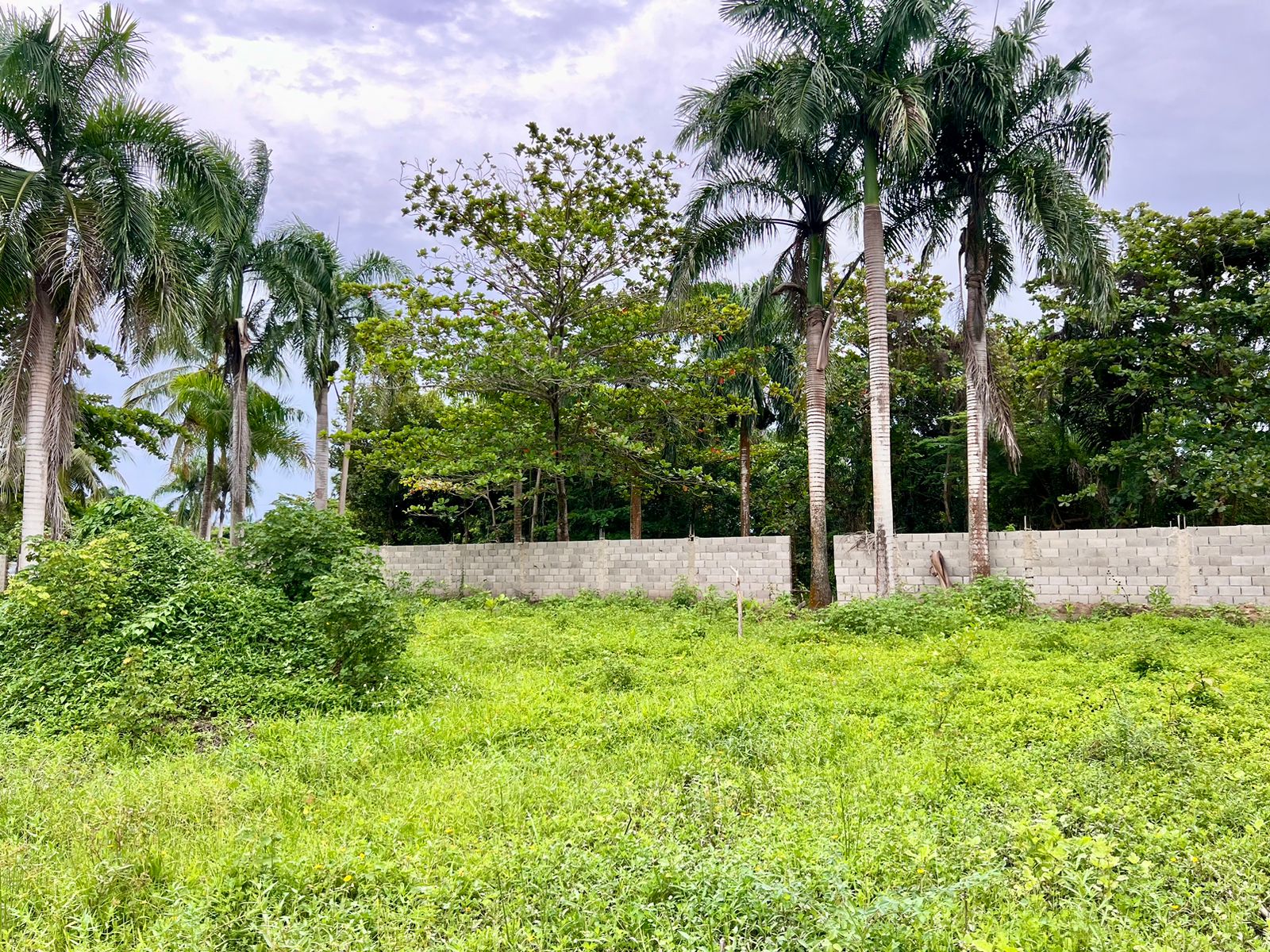 Build your Dream Beach House! Economic Lots in Cabarete new gated community For Sale - photo 1
