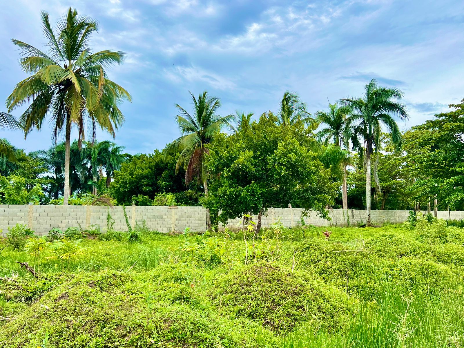 Build your Dream Beach House! Economic Lots in Cabarete new gated community For Sale - photo 4