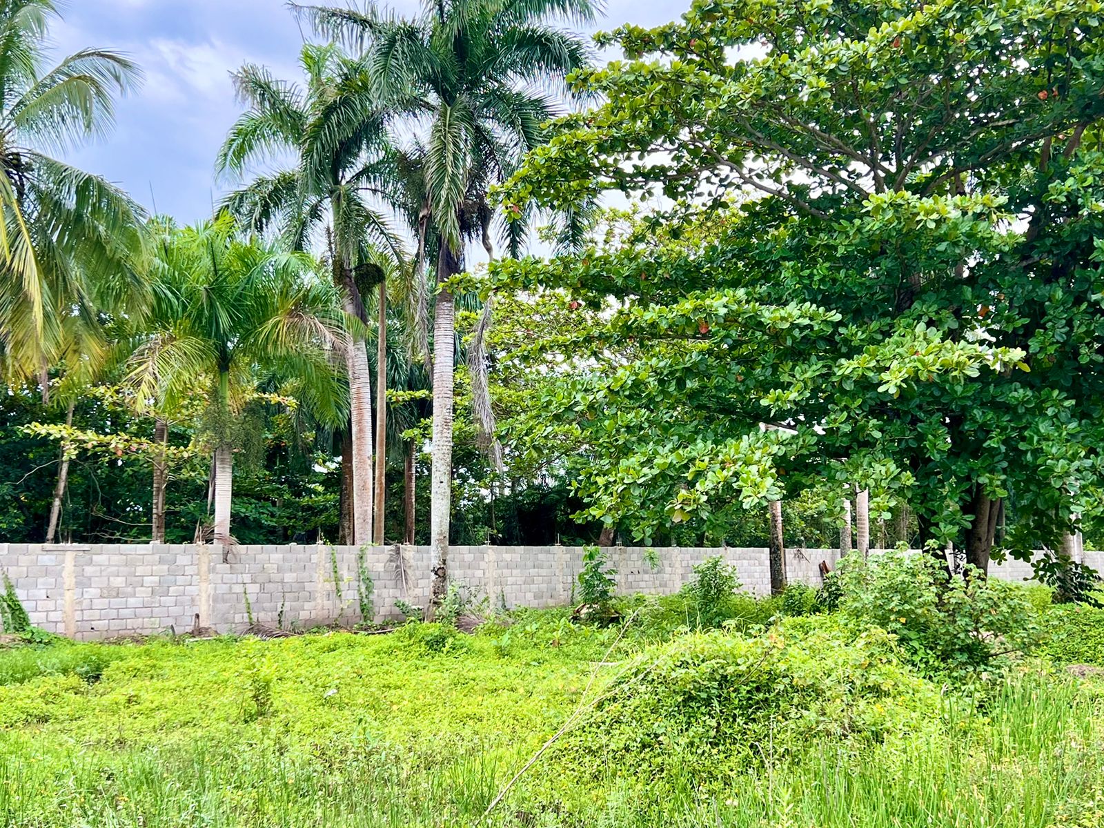 Build your Dream Beach House! Economic Lots in Cabarete new gated community For Sale - photo 3