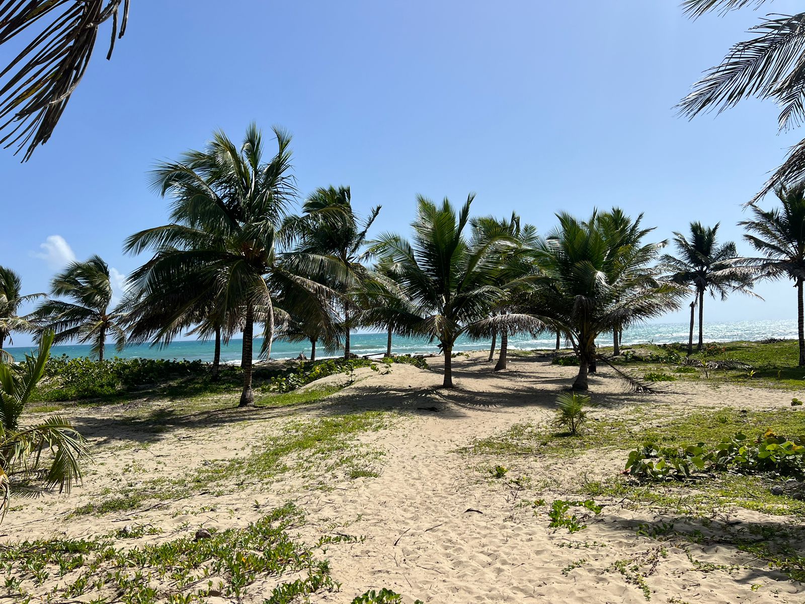 BEACHFRONT SMALL LOTS Beachfront small lot for beach house For Sale!