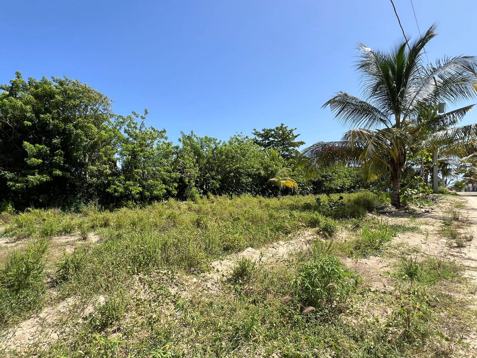 BEACHFRONT SMALL LOTS Beachfront small lot for beach house For Sale! - photo 6