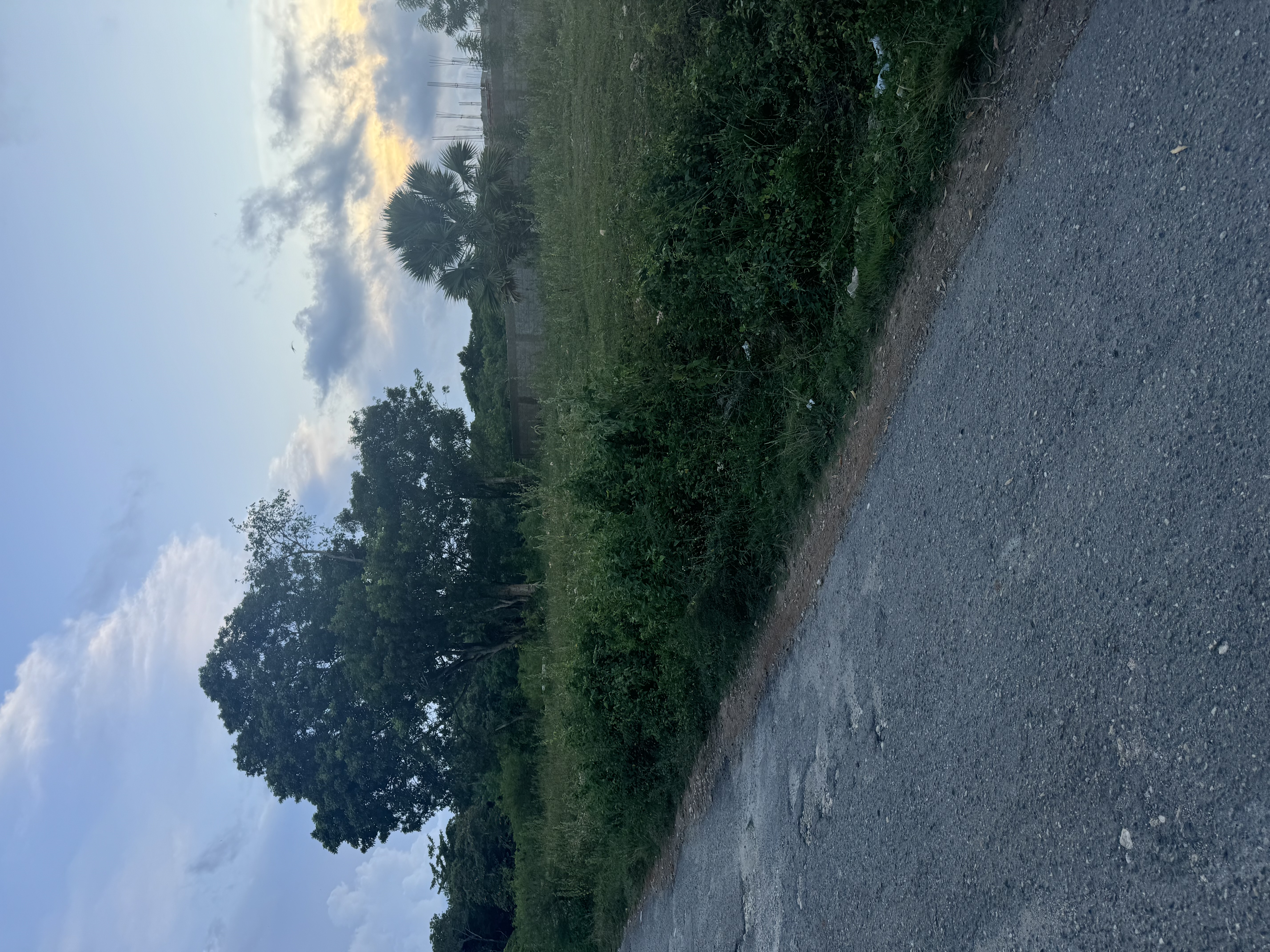 Ready-to-Build Lot in Beautiful Sosua - photo 2