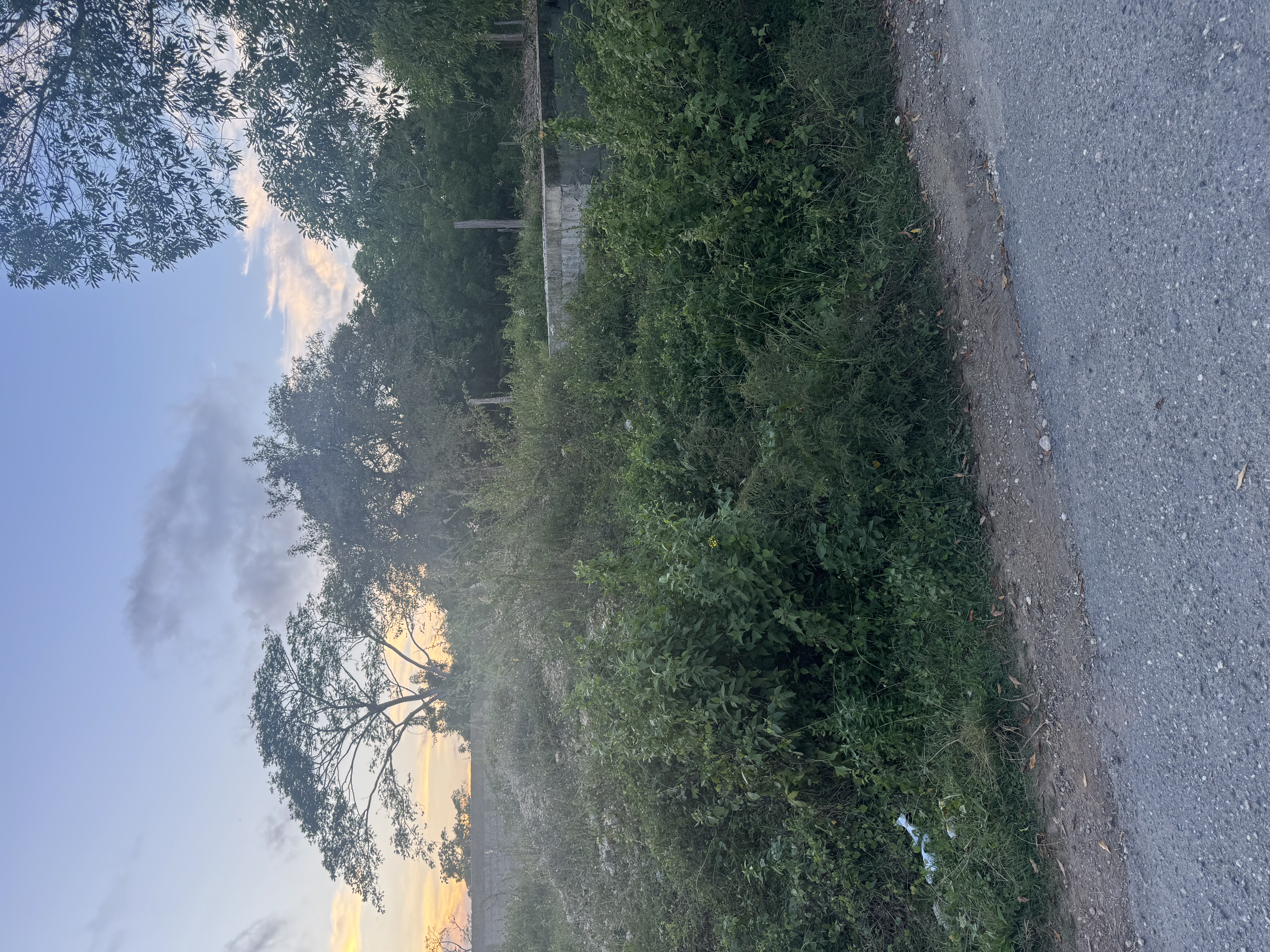 Ready-to-Build Lot in Beautiful Sosua - photo 3
