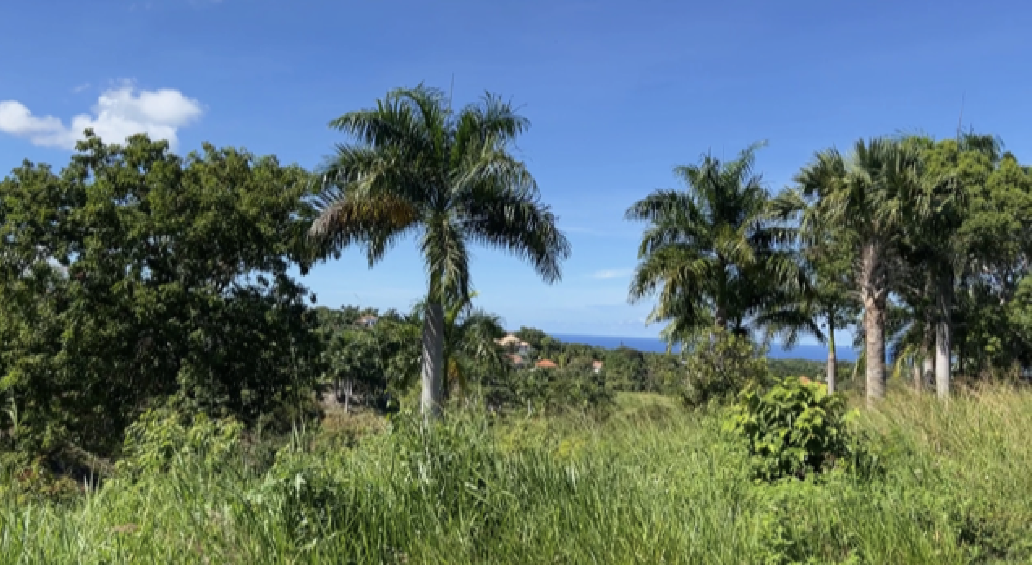 Ocean view Residential  land in a luxury gated community in Sosua for sale - photo 1