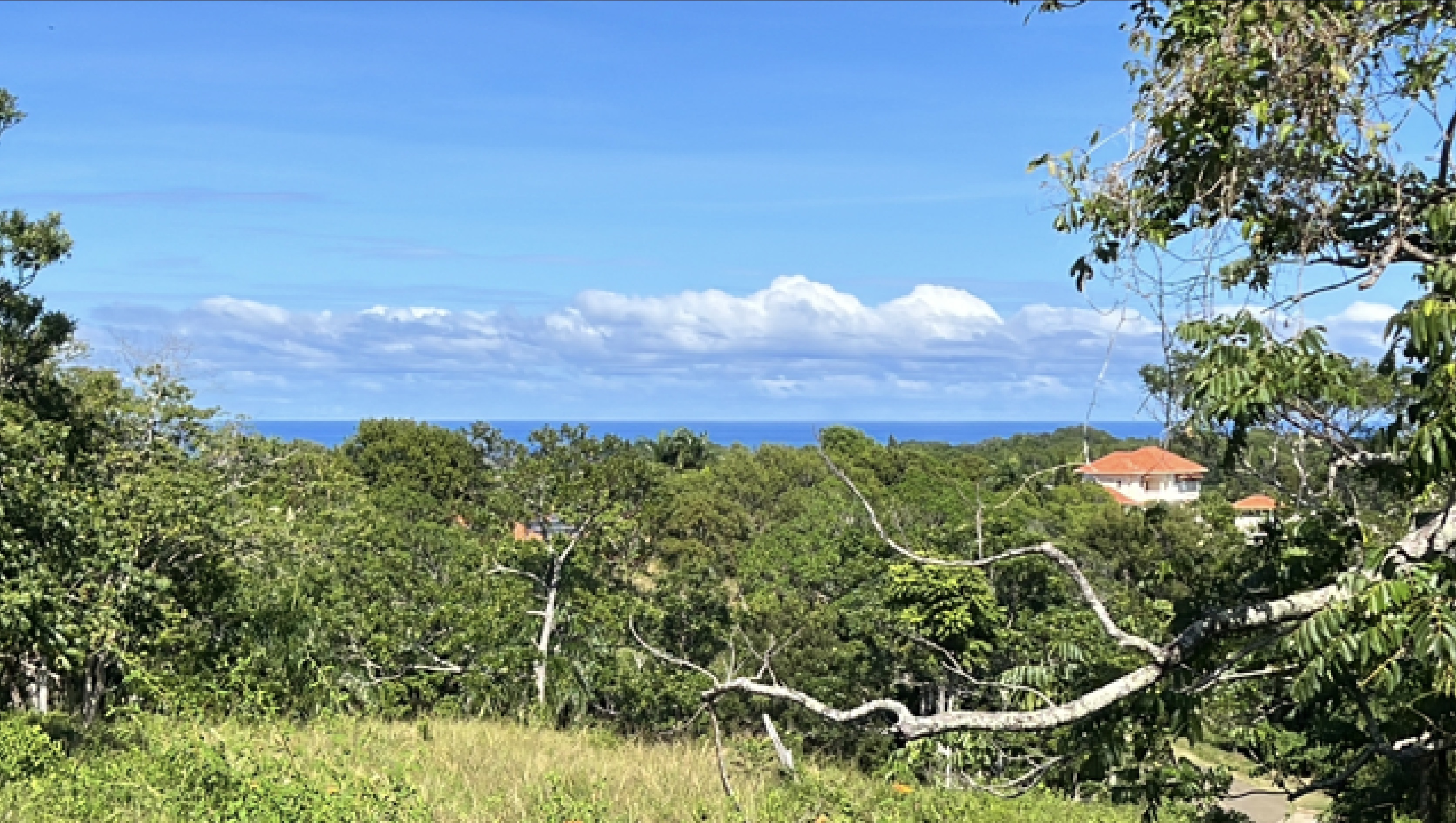 Ocean view Residential  land in a luxury gated community in Sosua for sale - photo 2
