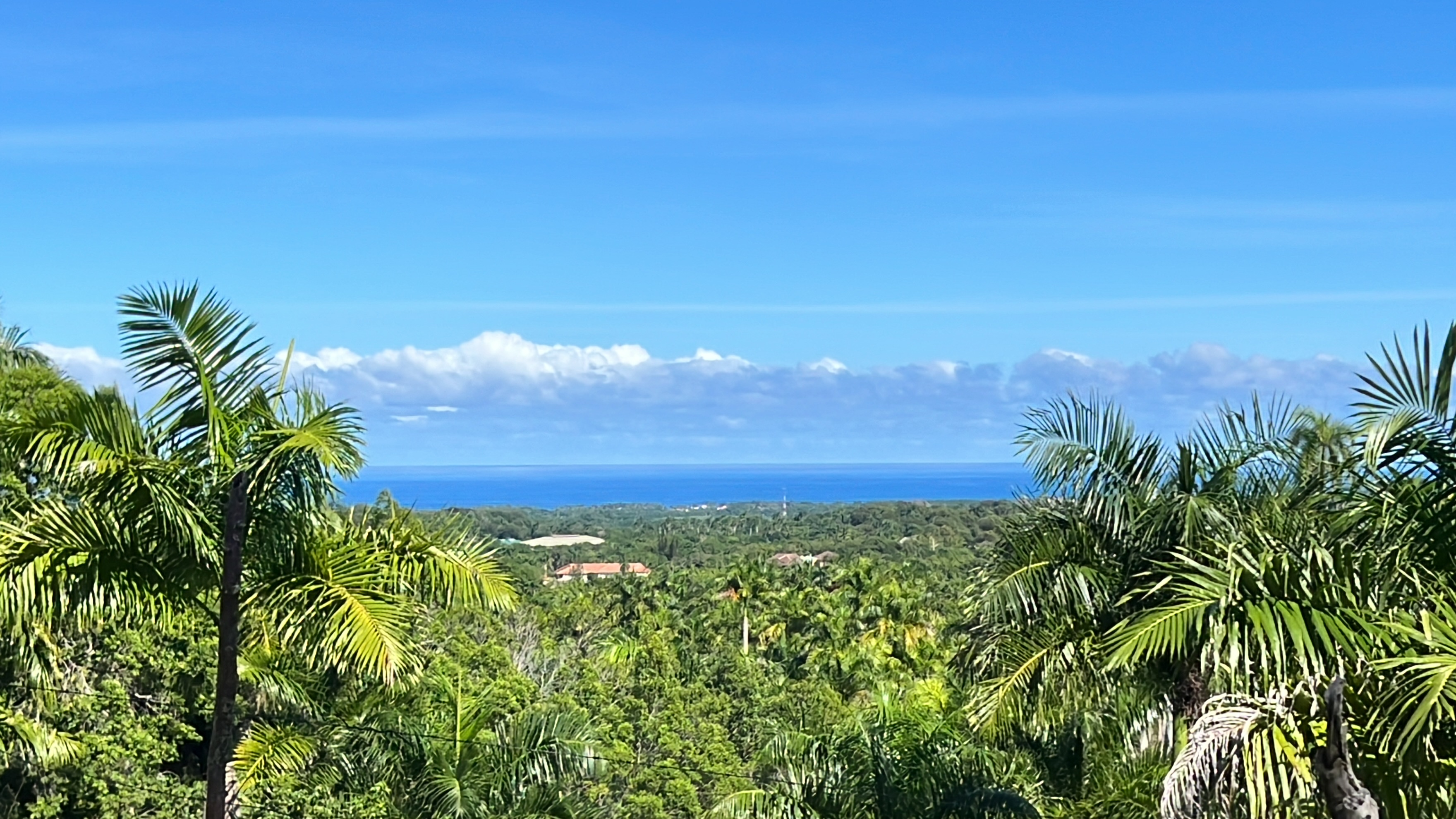 Ocean view Residential  plot in a luxury gated community in Sosua for sale - photo 2
