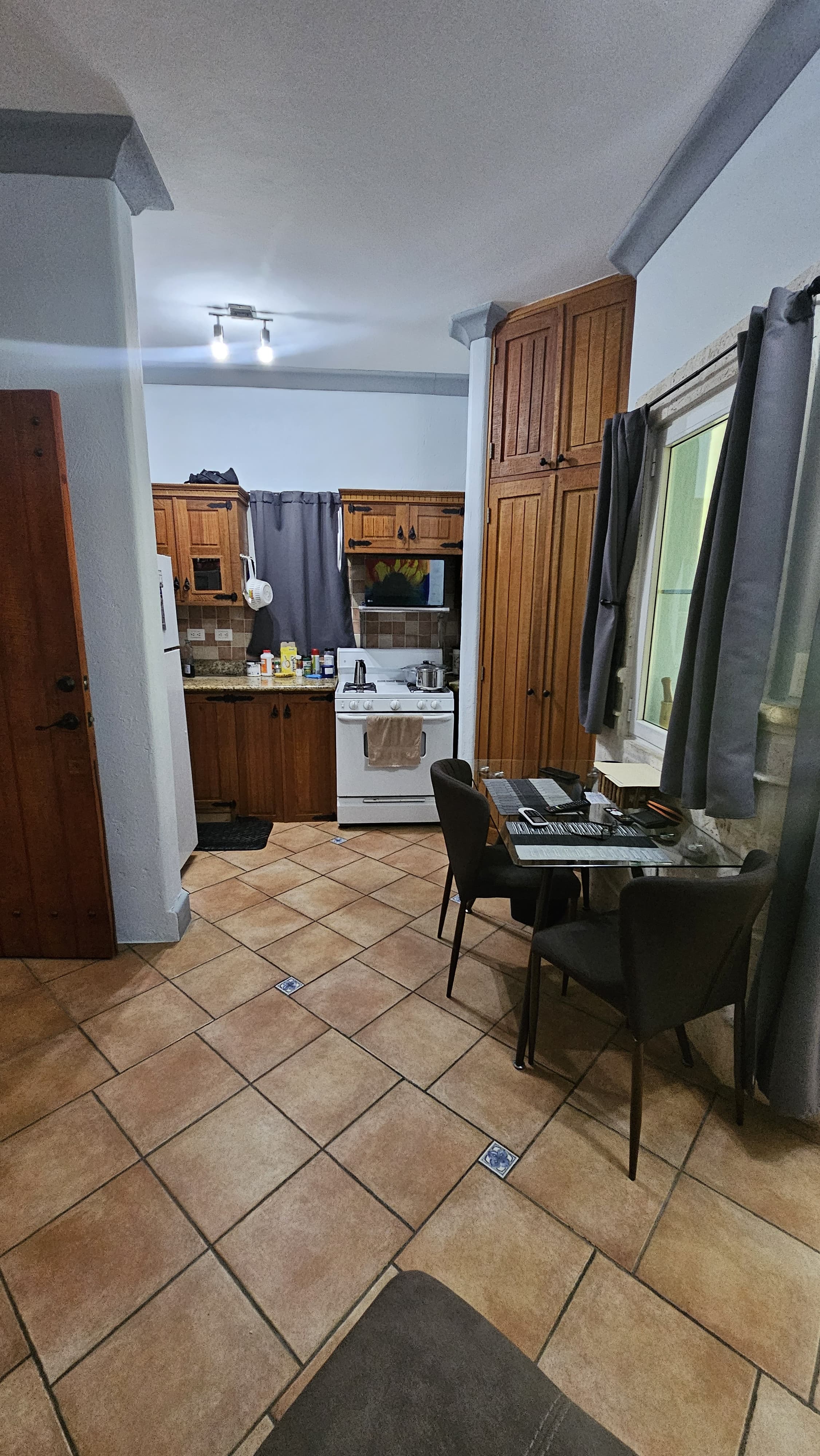 One bedroom apartment in beachfront gated community for sale - photo 5