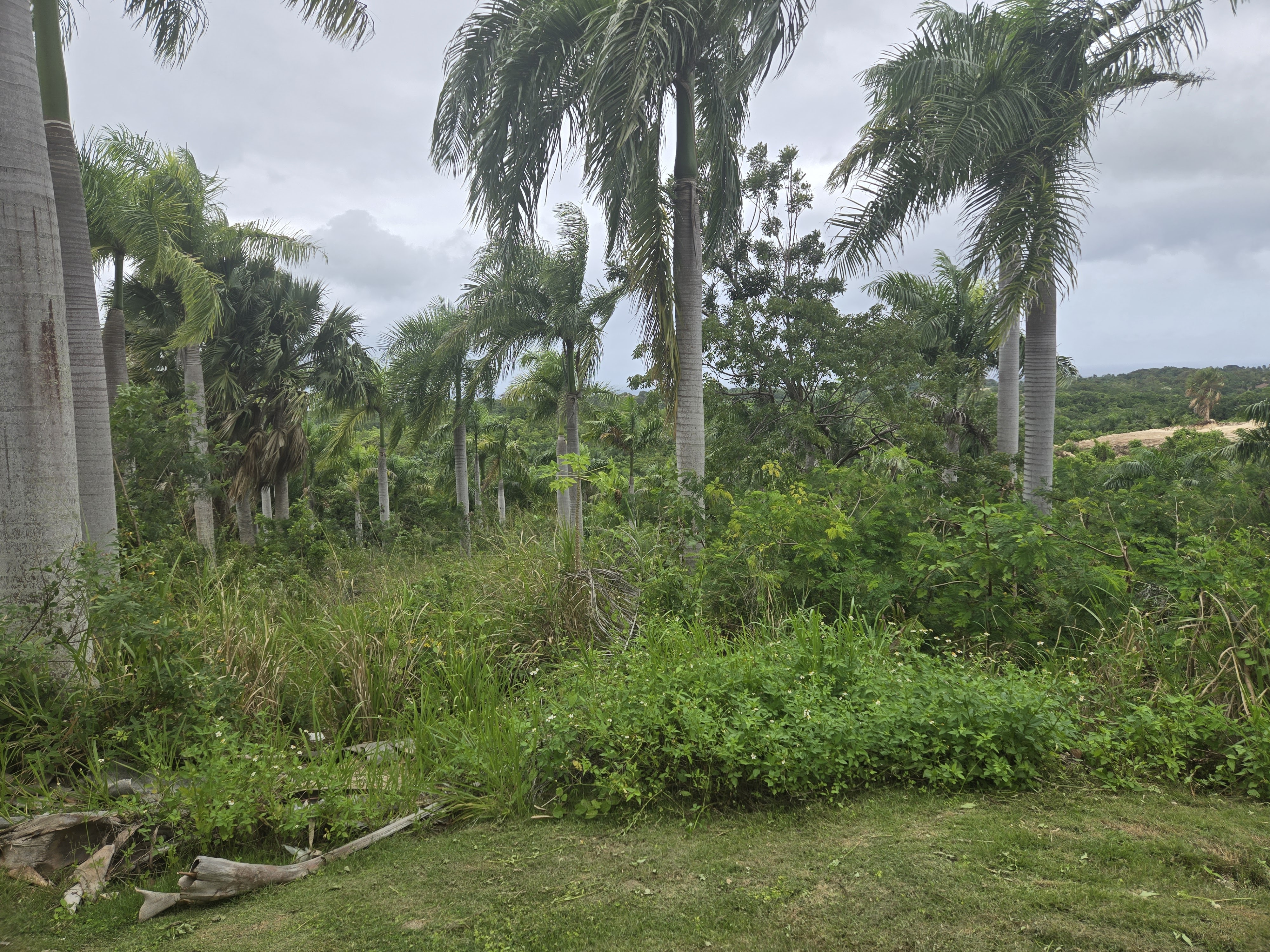 Large lot with panoramic views for Sale Large lot panoramic views - photo 6