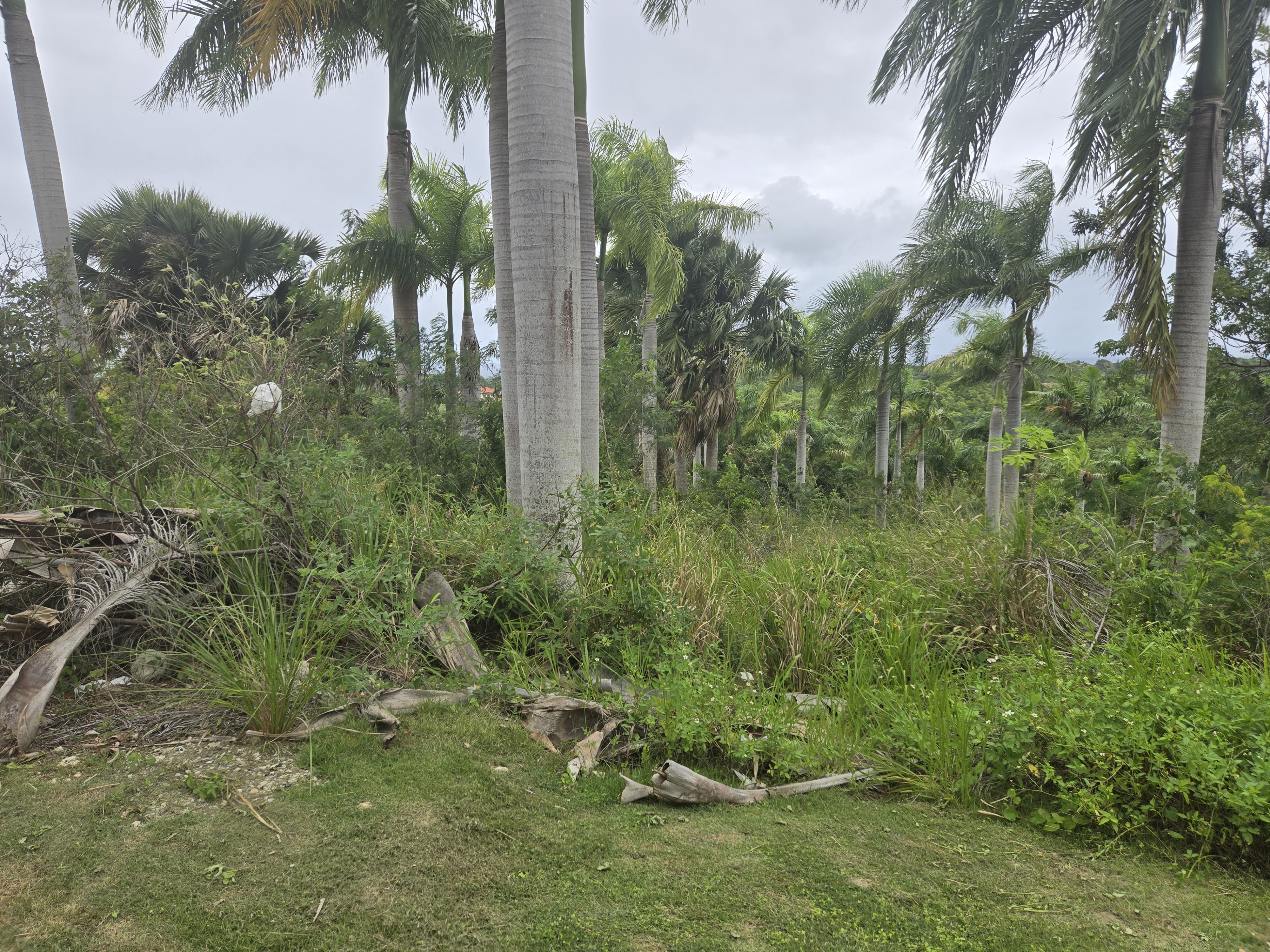 Large lot with panoramic views for Sale Large lot panoramic views - photo 5
