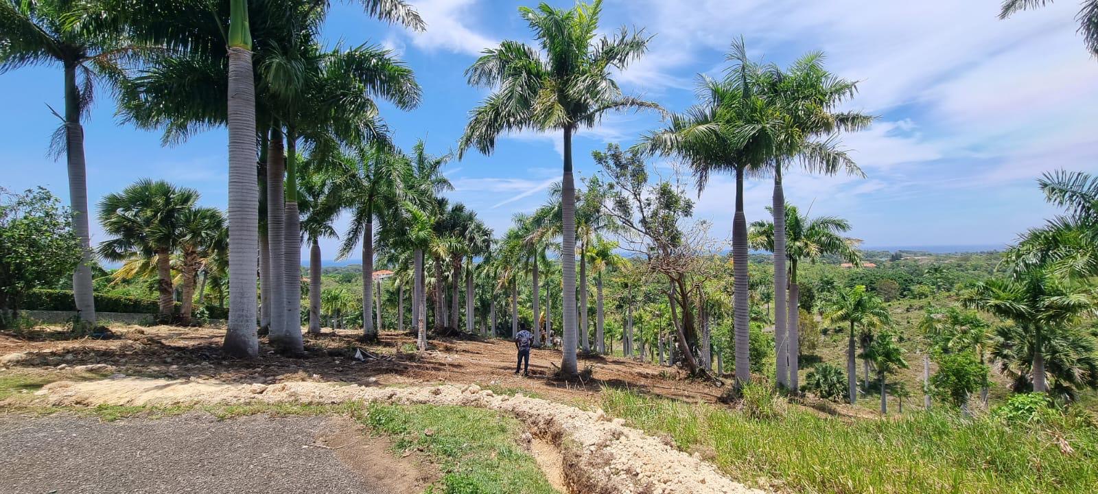 Large lot with panoramic views for Sale Large lot panoramic views - photo 1