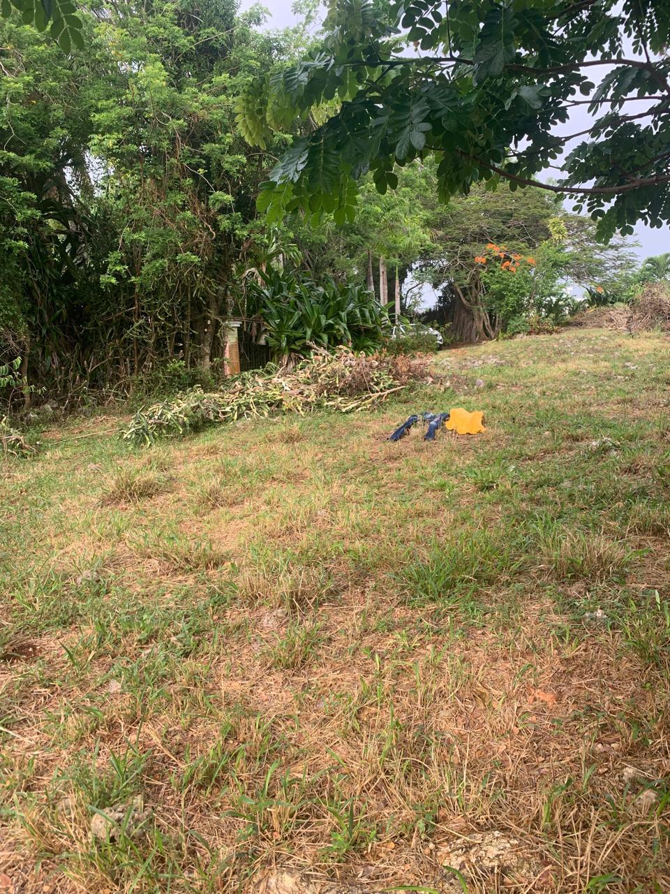 Commercial Land For Sale 8,376m2 Commercial Land For Sale - photo 5