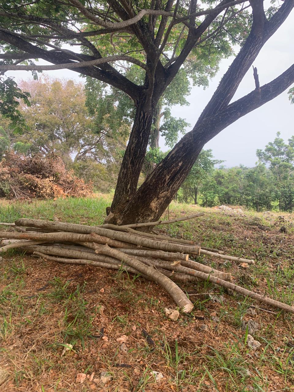 Commercial Land For Sale 8,376m2 Commercial Land For Sale - photo 6