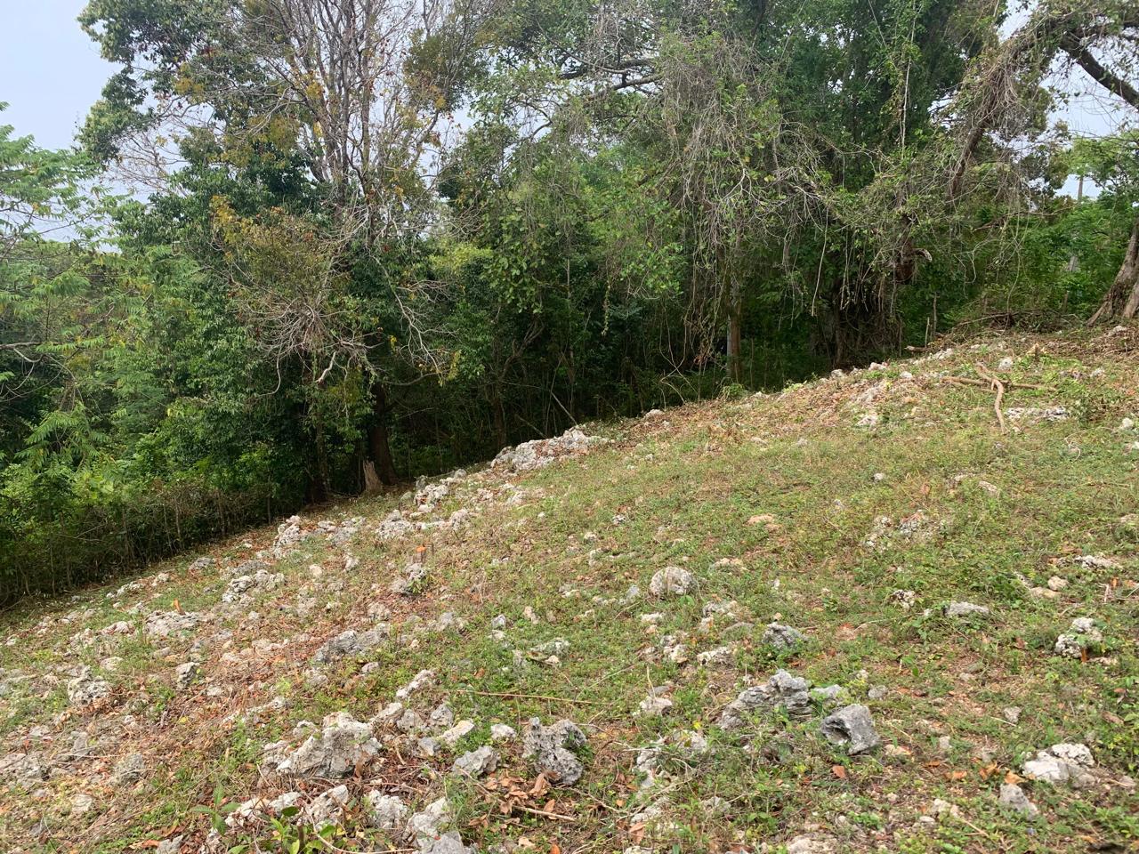 Commercial Land For Sale 8,376m2 Commercial Land For Sale - photo 3