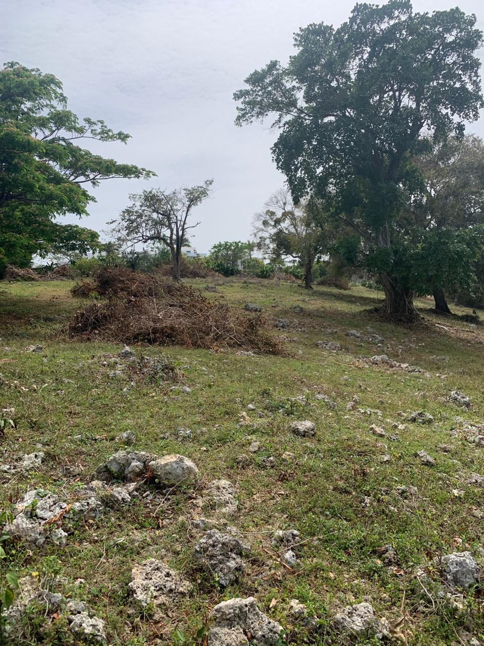 Commercial Land For Sale 8,376m2 Commercial Land For Sale - photo 4