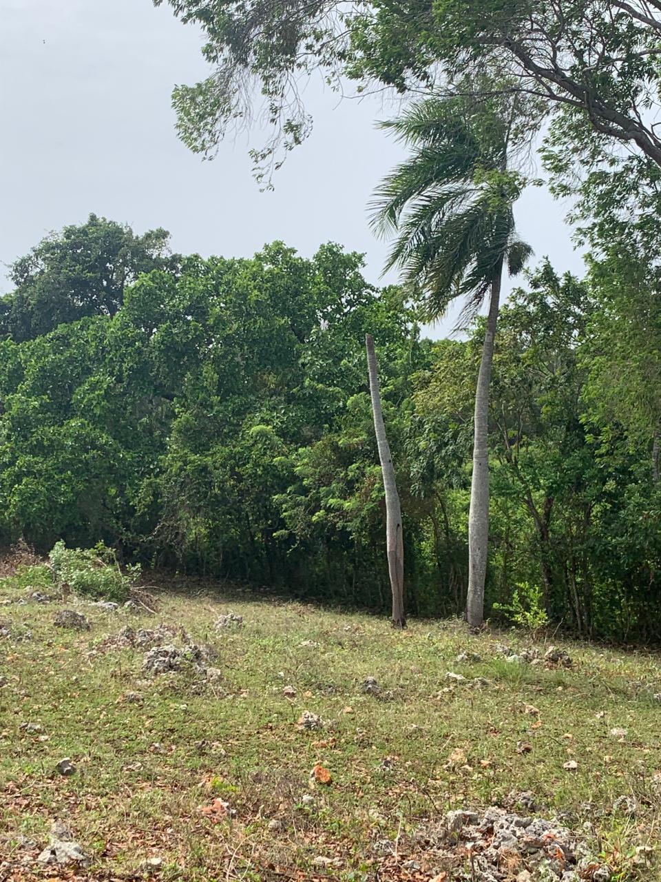 Commercial Land For Sale 8,376m2 Commercial Land For Sale - photo 2