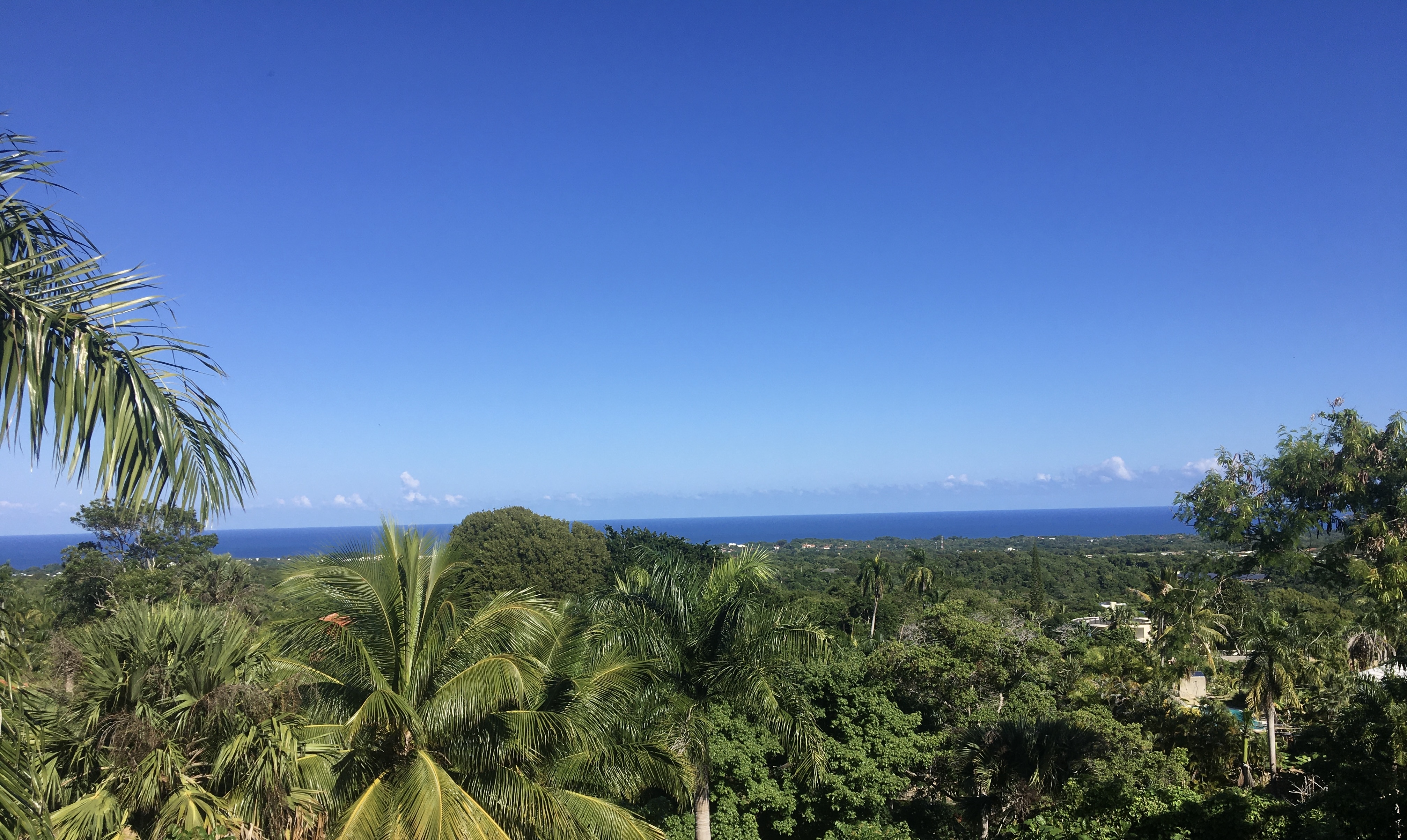 Beautiful Large plot  with amazing  ocean view on the hills of Sosua  for sale - photo 1